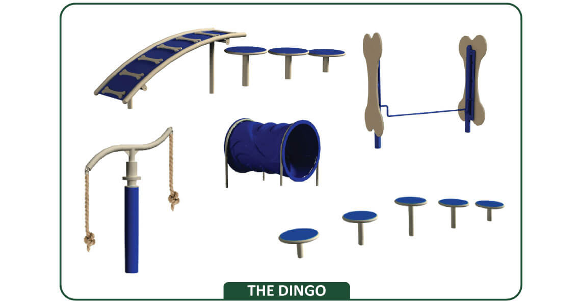 dingo